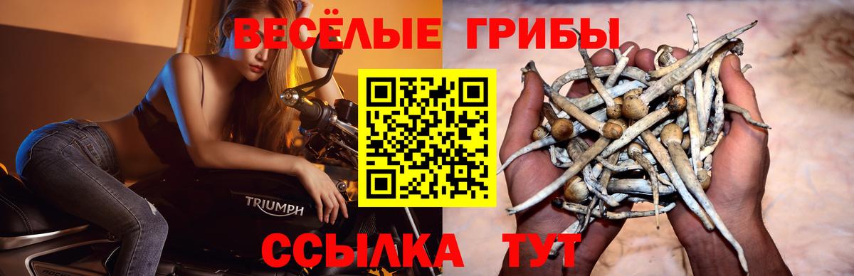 Галлюциногенные грибы GOLDEN TEACHER  Вход с VPN  Ливны 