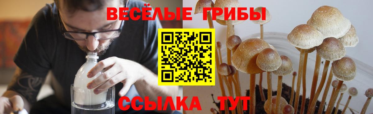 Псилоцибиновые грибы мицелий Ливны